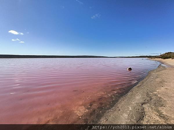 西澳Port Gregory 絕美粉紅湖Hutt Lagoo