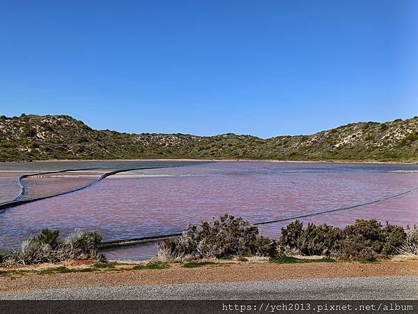 西澳Port Gregory 絕美粉紅湖Hutt Lagoo