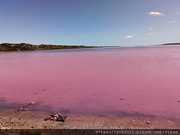 西澳Port Gregory 絕美粉紅湖Hutt Lagoo