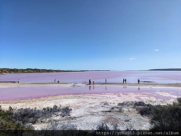 西澳Port Gregory 絕美粉紅湖Hutt Lagoo