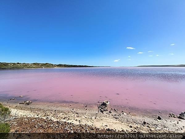 西澳Port Gregory 絕美粉紅湖Hutt Lagoo