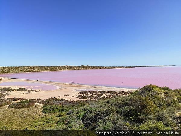 西澳Port Gregory 絕美粉紅湖Hutt Lagoo