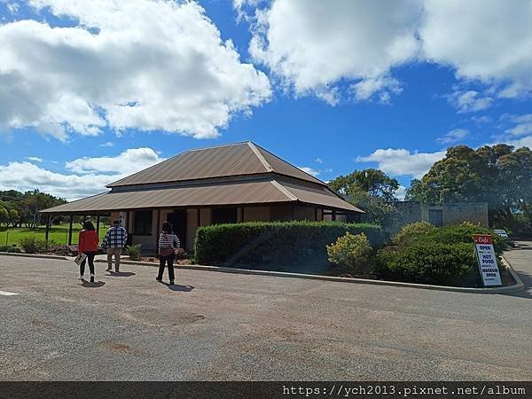 西澳旅遊／風剪樹附近Central Greenough Ca