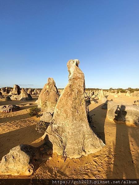 西澳旅遊／朱里恩灣Jurien Bay休息／參觀南邦國家公園