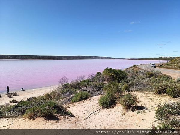 西澳Port Gregory 絕美粉紅湖Hutt Lagoo