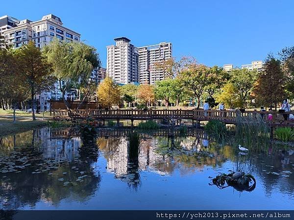 新北新莊幸福站景點／走三分鐘即可賞落羽松／頭前運動公園