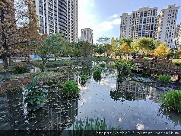 新北新莊幸福站景點／走三分鐘即可賞落羽松／頭前運動公園