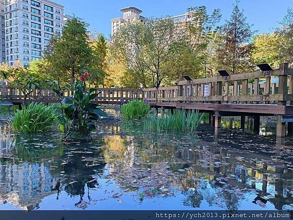 新北新莊幸福站景點／走三分鐘即可賞落羽松／頭前運動公園