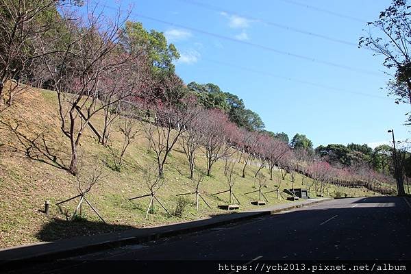 20240201長庚養生村