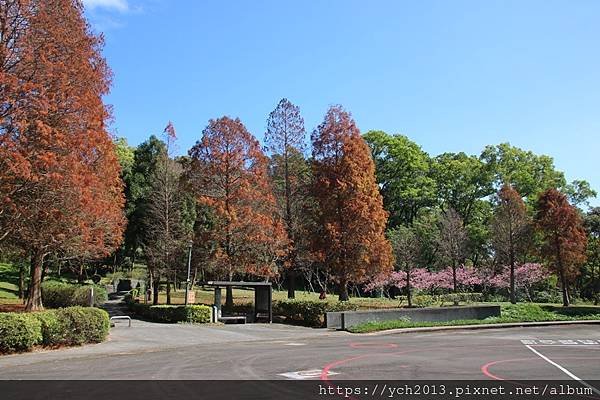 20240201長庚養生村