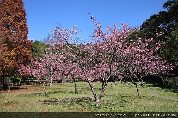 20240201長庚養生村