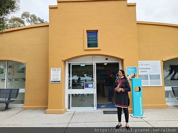 西澳伯斯離島羅特尼斯島Rottnest Island漫步／遇