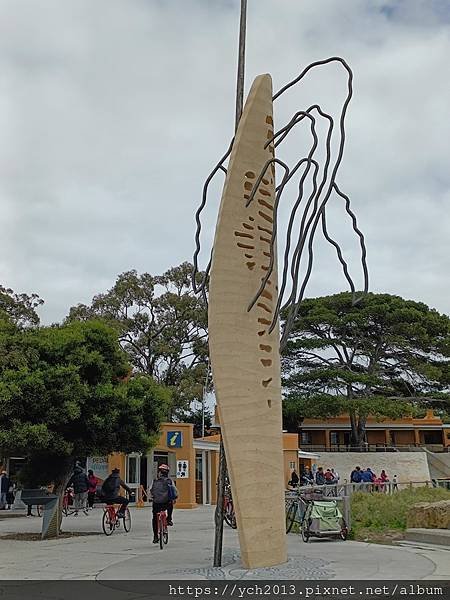 西澳伯斯離島羅特尼斯島Rottnest Island漫步／遇