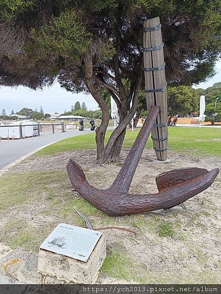 西澳伯斯離島羅特尼斯島Rottnest Island漫步／遇