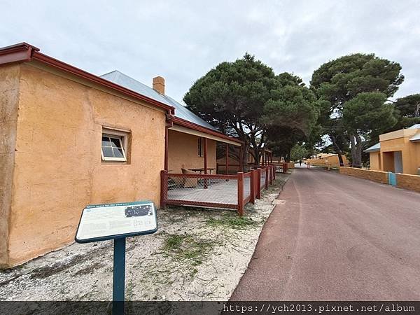 西澳伯斯離島羅特尼斯島Rottnest Island漫步／遇