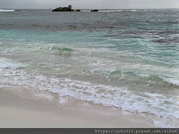 西澳伯斯離島羅特尼斯島Rottnest Island漫步／遇