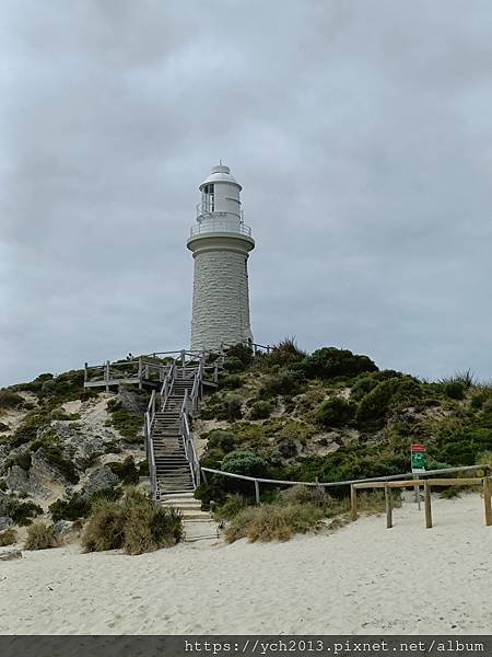 西澳伯斯離島羅特尼斯島Rottnest Island漫步／遇