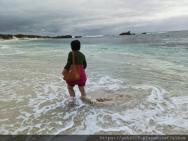 西澳伯斯離島羅特尼斯島Rottnest Island漫步／遇