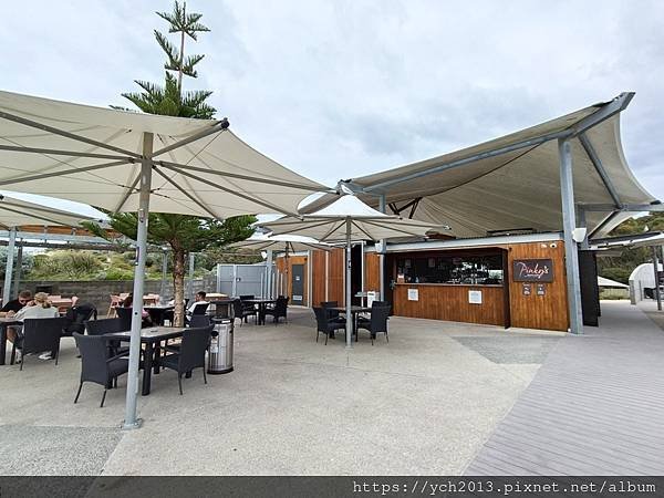 西澳伯斯離島羅特尼斯島Rottnest Island漫步／遇