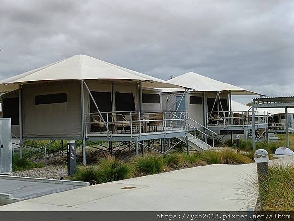 西澳伯斯離島羅特尼斯島Rottnest Island漫步／遇