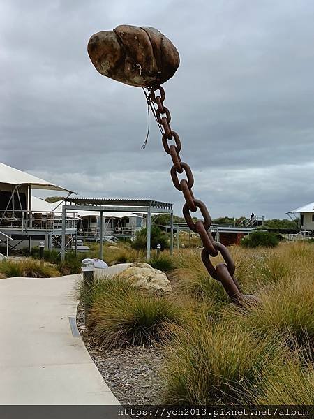 西澳伯斯離島羅特尼斯島Rottnest Island漫步／遇