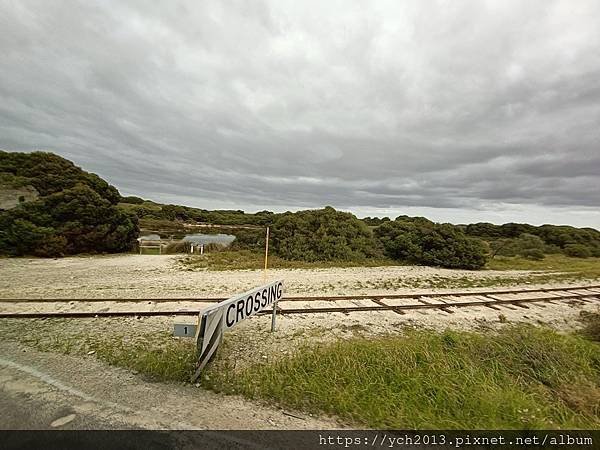 公車環遊羅特尼斯島，欣賞島上風光與美麗的海岸