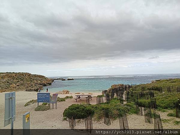 公車環遊羅特尼斯島，欣賞島上風光與美麗的海岸