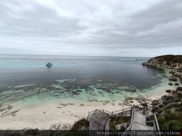 公車環遊羅特尼斯島，欣賞島上風光與美麗的海岸