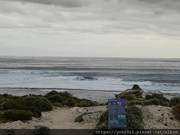 公車環遊羅特尼斯島，欣賞島上風光與美麗的海岸