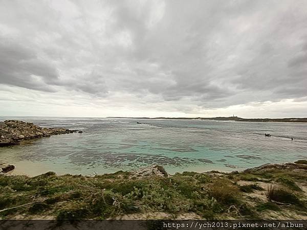 公車環遊羅特尼斯島，欣賞島上風光與美麗的海岸