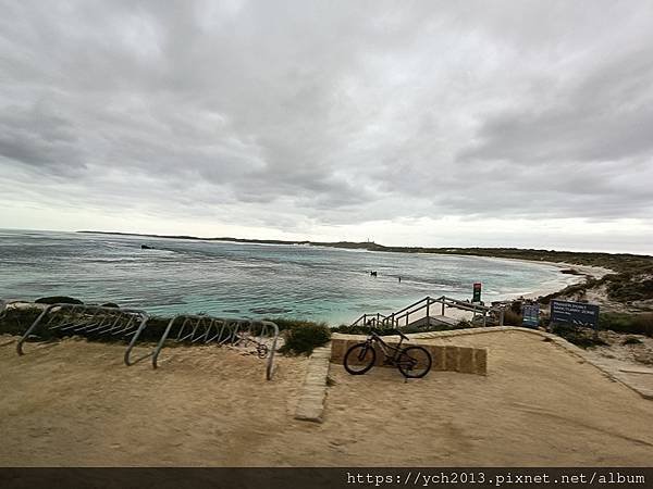 公車環遊羅特尼斯島，欣賞島上風光與美麗的海岸