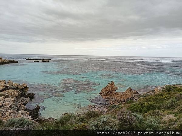 公車環遊羅特尼斯島，欣賞島上風光與美麗的海岸