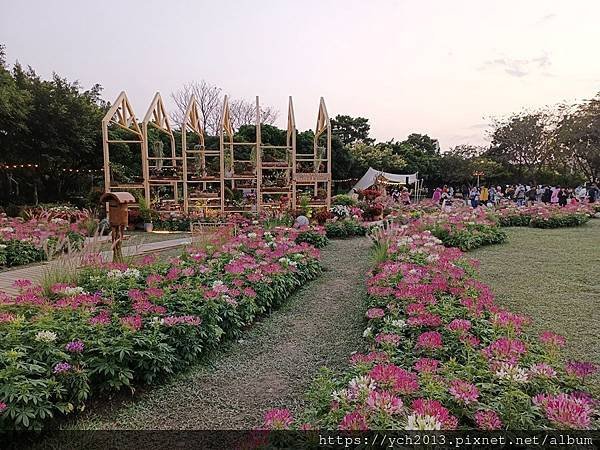 2024台北杜鵑花季在大安森林公園繽紛登場