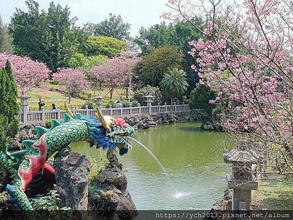 新北林口竹林山觀音寺祈福賞櫻