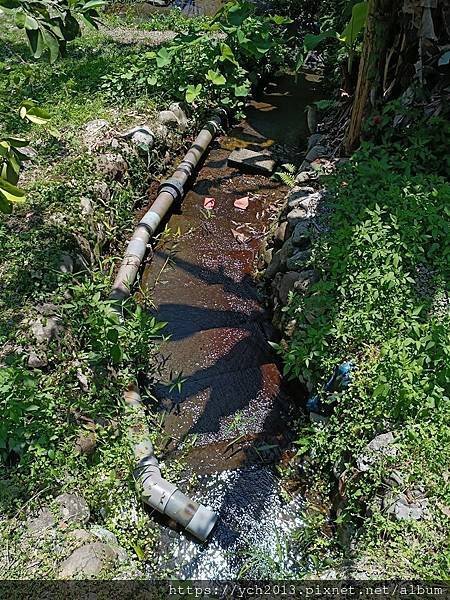 宜蘭礁溪景點／台塑集團Herbelle龍潭湖畔悠活園區白貨櫃