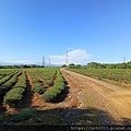 桃園龜山／林口長庚鬧區中的靜巷優質旅館《悅徠館》／A8站住宿