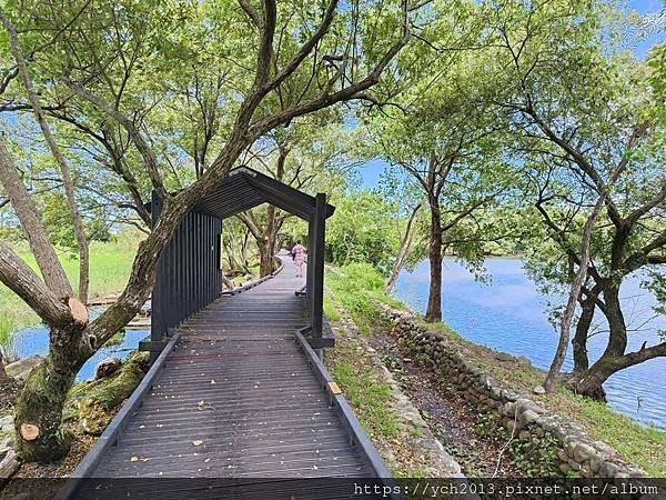 宜蘭景點／羅東林場散策指南／貯木池旁環湖步道好散步