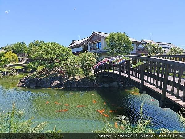 宜蘭五結景點／綠舞日式主題園區－逛逛日式庭園、與萌寵互動、射