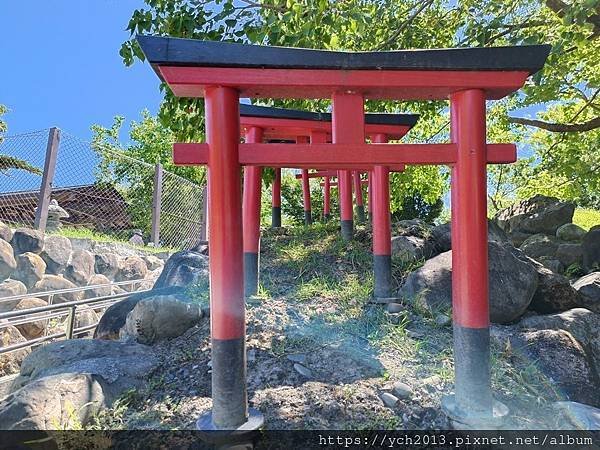 宜蘭五結景點／綠舞日式主題園區－逛逛日式庭園、與萌寵互動、射