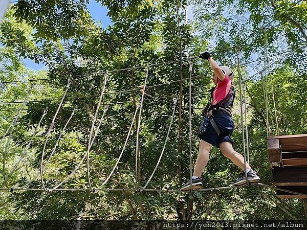 泰雅渡假村守護木³島邁向勇士之路第二天／高空繩索挑戰膽量體能