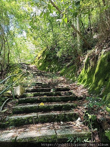 泰雅渡假村守護木³島邁向勇士之路第二天／高空繩索挑戰膽量體能