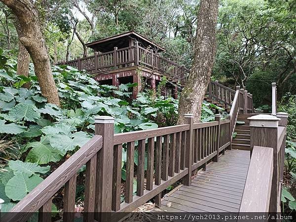 新北泰山景點／辭修公園與尖凍山步道