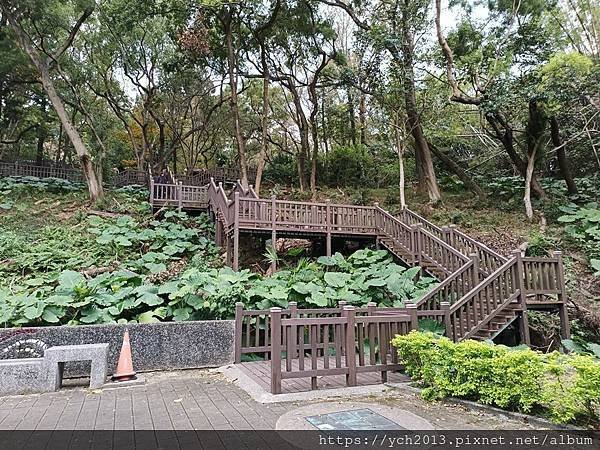 新北泰山景點／辭修公園與尖凍山步道