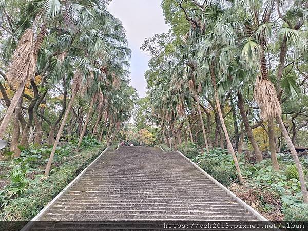 新北泰山景點／辭修公園與尖凍山步道