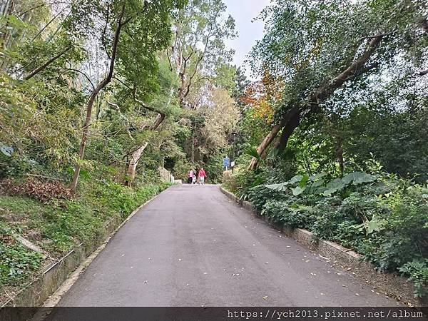 新北泰山景點／辭修公園與尖凍山步道