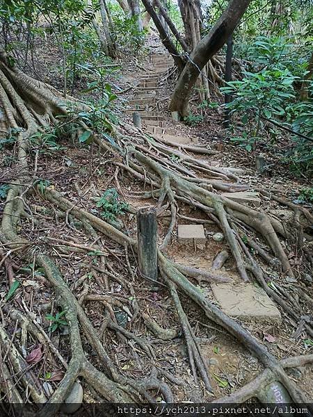 新北泰山景點／辭修公園與尖凍山步道