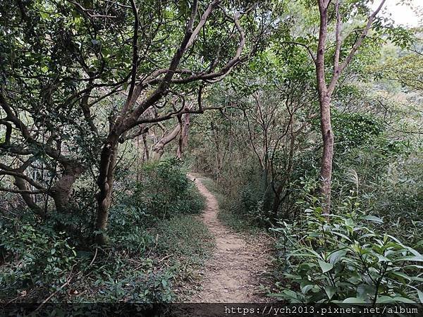 新北泰山景點／辭修公園與尖凍山步道