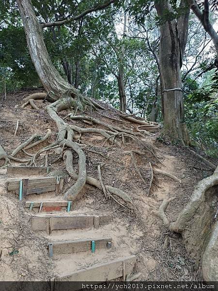 新北泰山景點／辭修公園與尖凍山步道