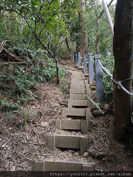 新北泰山景點／辭修公園與尖凍山步道