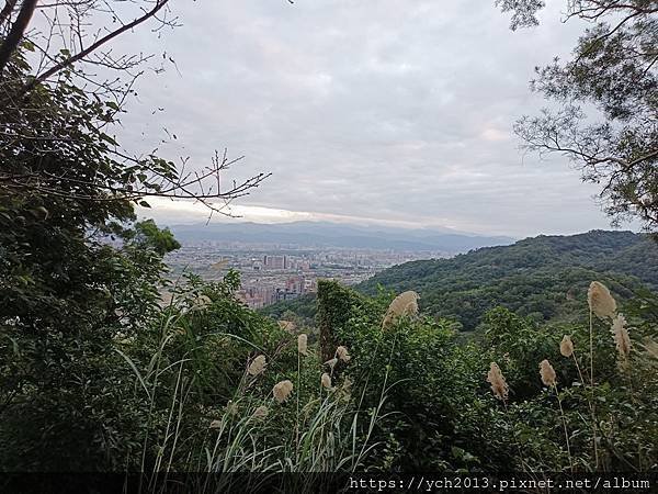 新北泰山景點／辭修公園與尖凍山步道